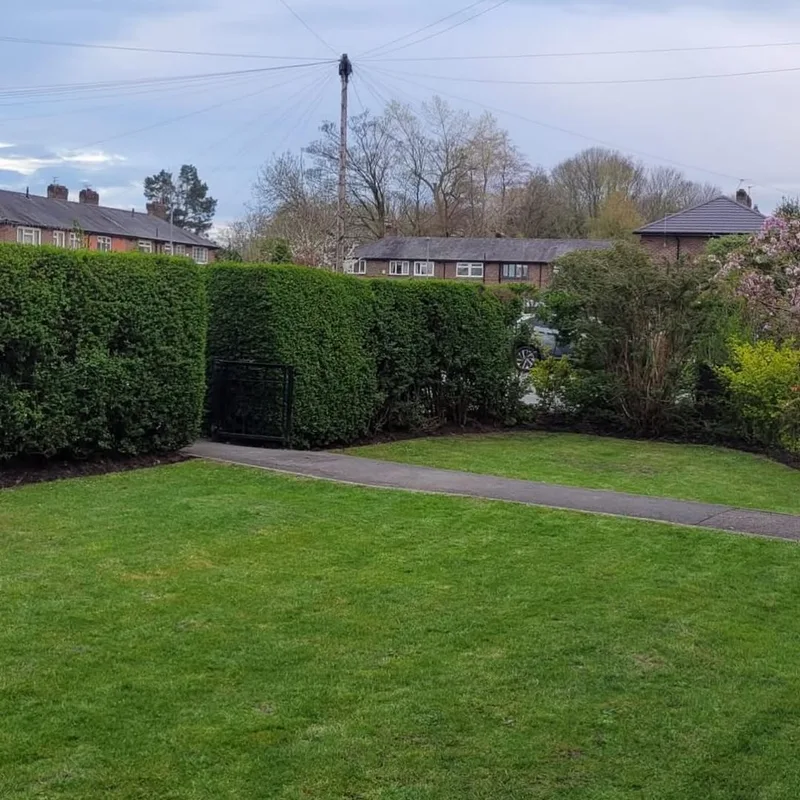 About Leavy's Lawns