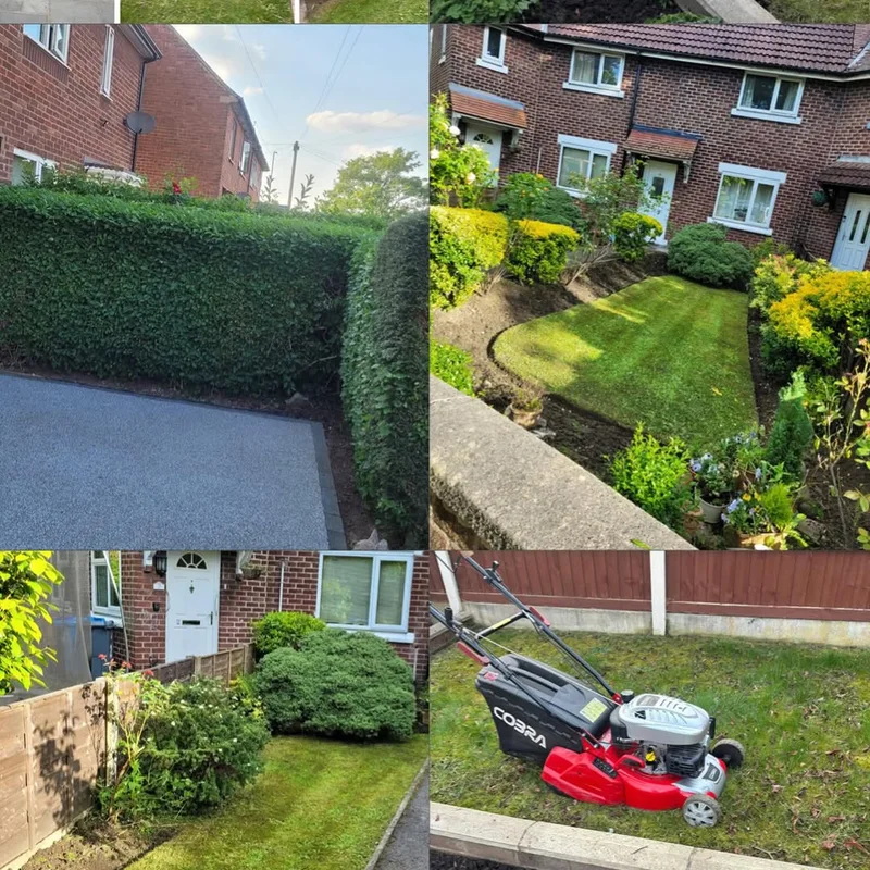 Leavy's Lawns project 1